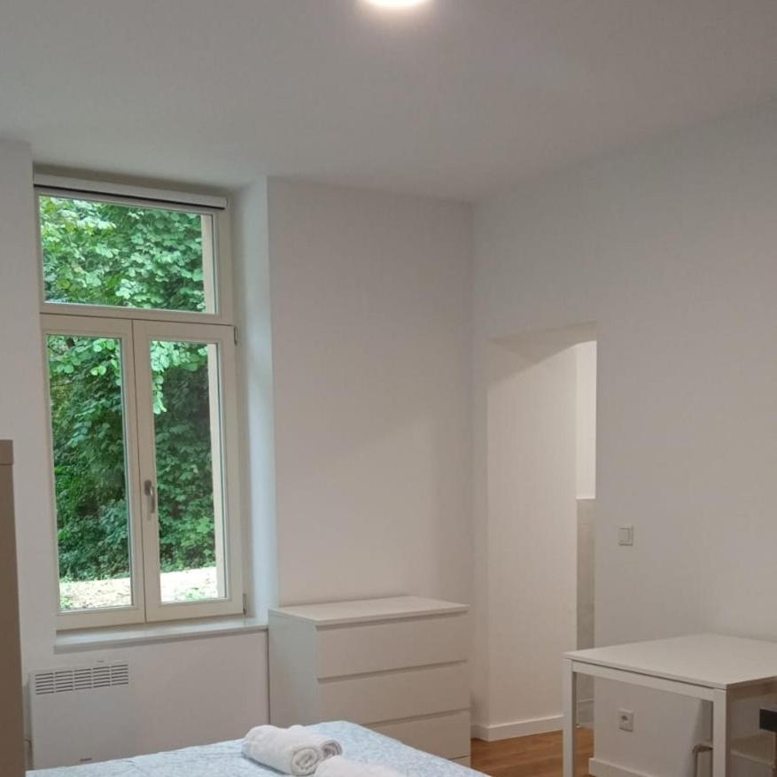 Studio Near To The City Centre Luxemburgo Exterior foto